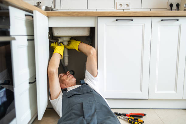 Best Residential Plumbing Services  in Logan, IA