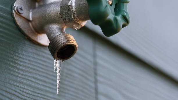 Best Sewer Line Repair  in Logan, IA
